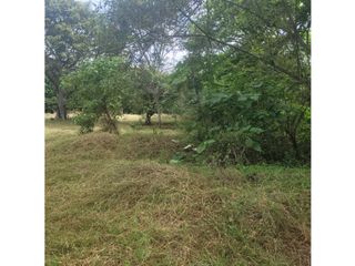 Foto 8 de Lote para la venta en el sector del club wembley- pance, Cali!!