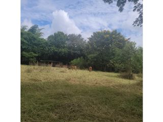 Foto 7 de Lote para la venta en el sector del club wembley- pance, Cali!!