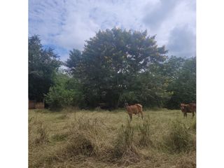Foto 9 de Lote para la venta en el sector del club wembley- pance, Cali!!