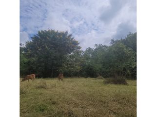 Foto 21 de Lote para la venta en el sector del club wembley- pance, Cali!!