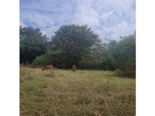 Foto 10 de Lote para la venta en el sector del club wembley- pance, Cali!!