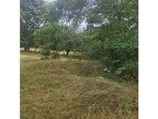 Foto 12 de Lote para la venta en el sector del club wembley- pance, Cali!!