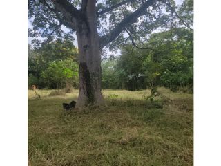 Foto 25 de Lote para la venta en el sector del club wembley- pance, Cali!!