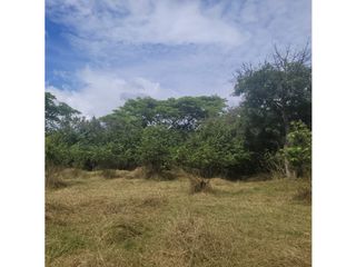 Foto 19 de Lote para la venta en el sector del club wembley- pance, Cali!!