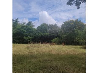 Foto 3 de Lote para la venta en el sector del club wembley- pance, Cali!!