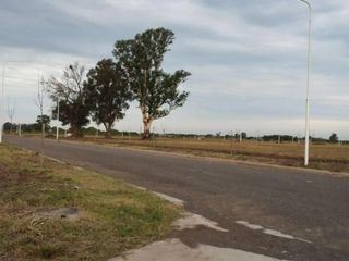 Foto 4 de Terreno en venta en Arroyo Seco, excelente ubicación y precio