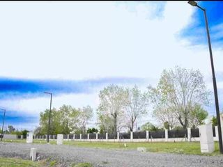 Foto 5 de Terreno en venta - 233Mts2 - Altos del Plata, La Plata