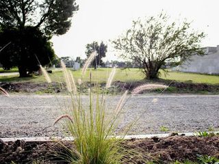 Foto 9 de Terreno en venta - 233Mts2 - Altos del Plata, La Plata