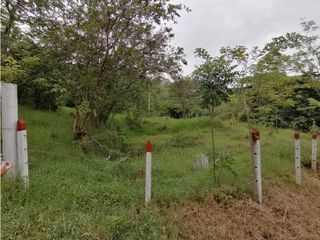 Foto 11 de ACSI 399 Lote en venta en Villeta