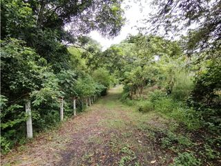 Foto 5 de ACSI 399 Lote en venta en Villeta