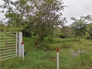 Foto 7 de ACSI 399 Lote en venta en Villeta