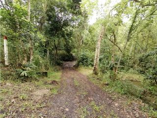 Foto 8 de ACSI 399 Lote en venta en Villeta