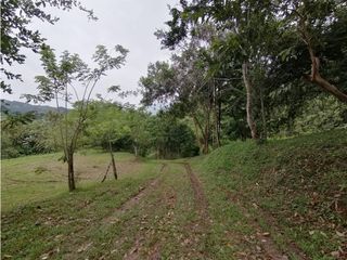 Foto 6 de ACSI 399 Lote en venta en Villeta