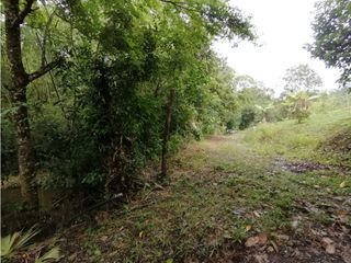 Foto 2 de ACSI 399 Lote en venta en Villeta