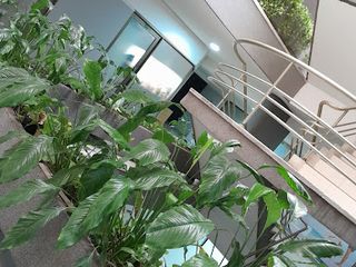 Foto 2 de ARRIENDO de OFICINAS en BARRANQUILLA