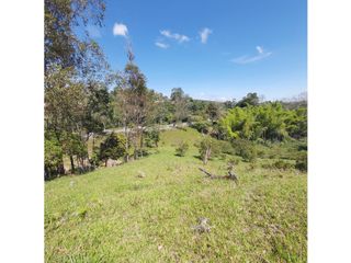 Foto 4 de PARCELA EN VENTA EN EL SECTOR LOS ROBLES, VA PANAMERICANA, TIMBIO