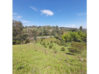 Foto 1 de PARCELA EN VENTA EN EL SECTOR LOS ROBLES, VA PANAMERICANA, TIMBIO