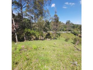 Foto 5 de PARCELA EN VENTA EN EL SECTOR LOS ROBLES, VA PANAMERICANA, TIMBIO