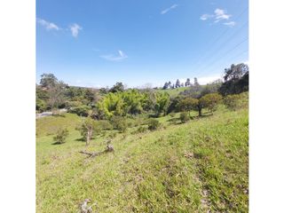 Foto 2 de PARCELA EN VENTA EN EL SECTOR LOS ROBLES, VA PANAMERICANA, TIMBIO