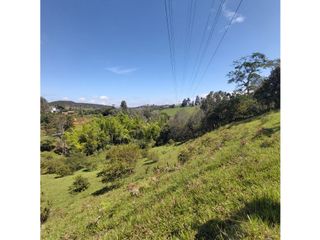 Foto 3 de PARCELA EN VENTA EN EL SECTOR LOS ROBLES, VA PANAMERICANA, TIMBIO
