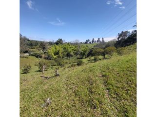 Foto 8 de PARCELA EN VENTA EN EL SECTOR LOS ROBLES, VA PANAMERICANA, TIMBIO