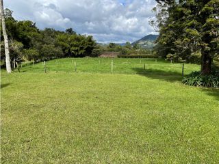 Foto 13 de Venta de Finca en la Ceja