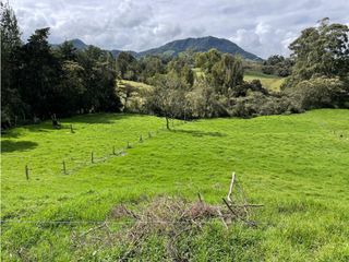 Foto 14 de Venta de Finca en la Ceja