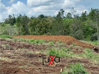 Foto 4 de LUXA VENDE O PERMUTA PARCELA ALTOS DE LA CARRILERA POR LAS MARGARITAS