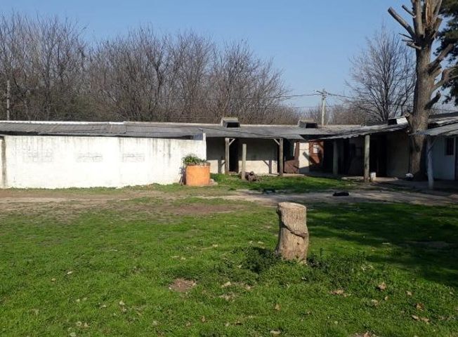 place photo 7