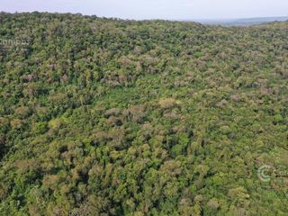 Foto 7 de Se Vende Propiedad de 25 ha con Fines Turísticos en Cerro Cora, Misiones