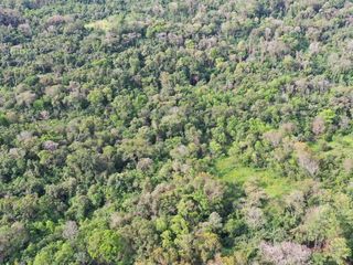 Foto 6 de Se Vende Propiedad de 25 ha con Fines Turísticos en Cerro Cora, Misiones