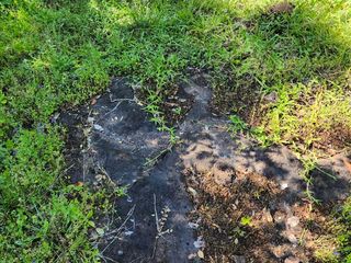 Foto 2 de Se Vende Propiedad de 25 ha con Fines Turísticos en Cerro Cora, Misiones