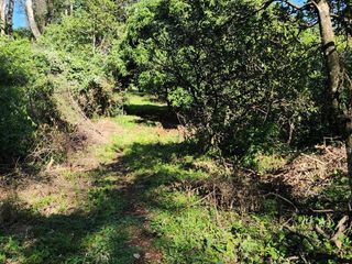 Foto 11 de Se Vende Propiedad de 25 ha con Fines Turísticos en Cerro Cora, Misiones