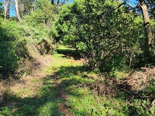 Foto 8 de Se Vende Propiedad de 25 ha con Fines Turísticos en Cerro Cora, Misiones