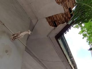 Foto 14 de Terreno en venta - 280mts2 - La Plata