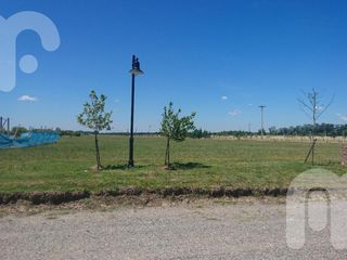 Foto 4 de VENTA TERRENO - Haras del Sur III