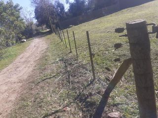 Foto 5 de Terreno en venta - 277mts2 - Arturo Seguí