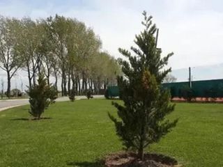Foto 12 de Departamento 2 Amb (117.80 m2) Complejo Terrazas De La Alameda-Canning