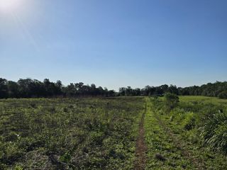 Foto 5 de Se vende Chacra de 33ha con arroyo, a 3km del Pueblo de Bonpland, Misiones