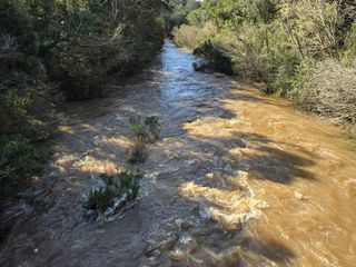 Foto 4 de Se vende Chacra de 33ha con arroyo, a 3km del Pueblo de Bonpland, Misiones