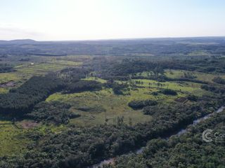 Foto 14 de Se vende Chacra de 33ha con arroyo, a 3km del Pueblo de Bonpland, Misiones