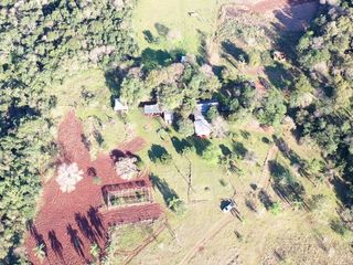 Foto 3 de Se vende Chacra de 33ha con arroyo, a 3km del Pueblo de Bonpland, Misiones