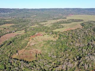 Foto 11 de Se vende Chacra de 33ha con arroyo, a 3km del Pueblo de Bonpland, Misiones