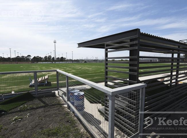 place photo 20