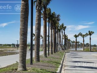 Foto 10 de Lote en venta en Puerto Nizuc - Oportunidad de inversión en Guillermo Hudson