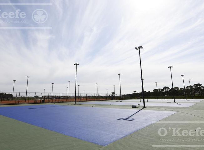 place photo 24