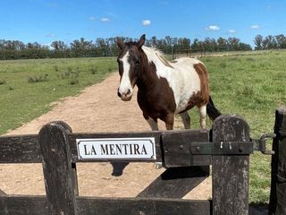 Foto 5 de Terreno en venta - 34.772Mts2 - San Miguel del Monte