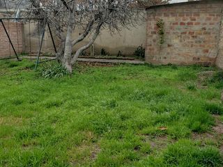 Foto 12 de Casa - Neuquen