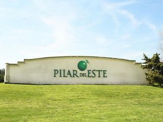Foto 3 de Excelente Lote interno en Venta - Pilar del Este Barrio Santa Elena