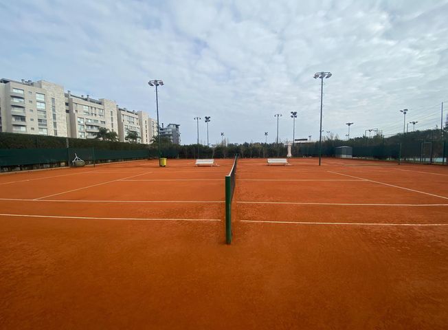 place photo 18